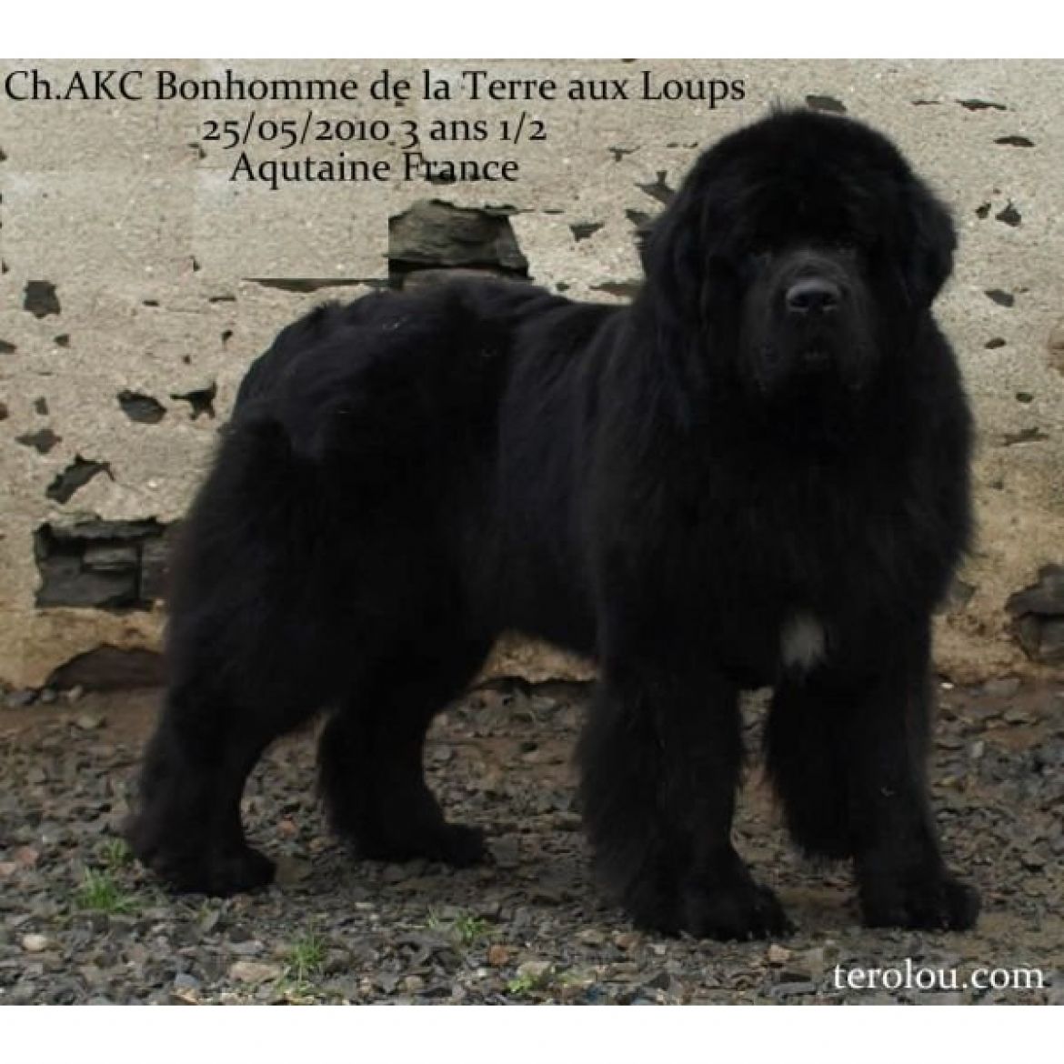 R Bonhomme de la Terre aux Loups (29-09-2006)